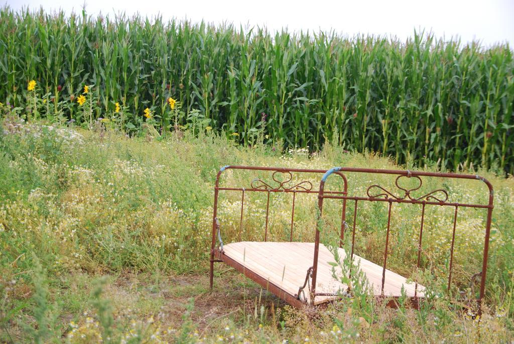 Appartamento Gesundheitshof Denker Reußenköge Esterno foto