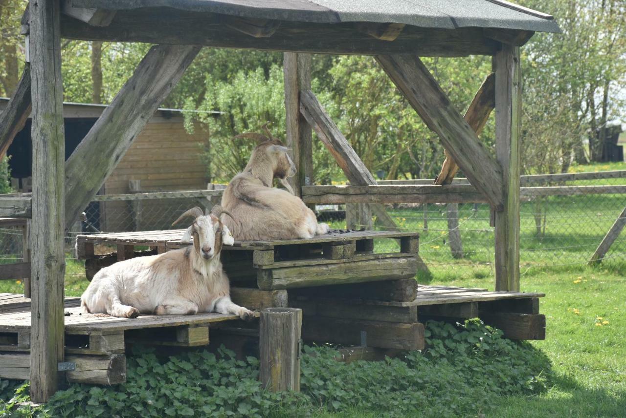 Appartamento Gesundheitshof Denker Reußenköge Esterno foto
