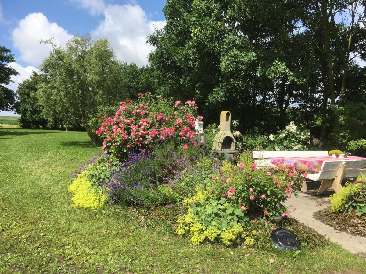 Appartamento Gesundheitshof Denker Reußenköge Esterno foto